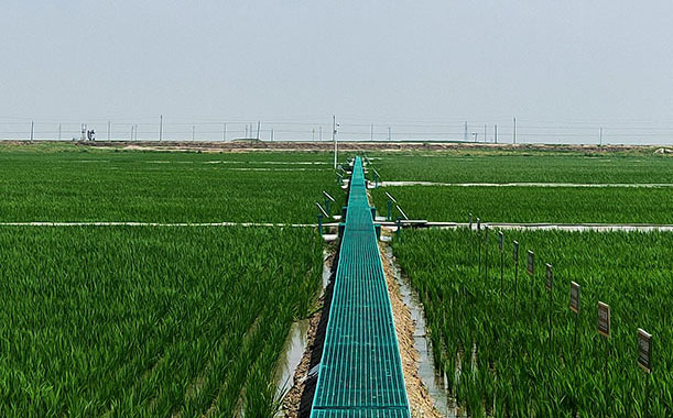 防爆知識：粉塵車間為什么要裝防爆箱？